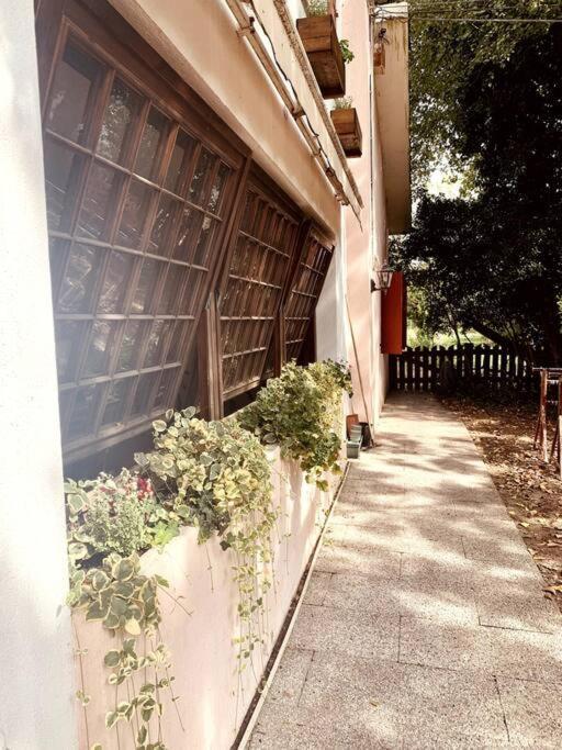 Апартаменти Raffinatezza Rustica Nella Campagna Veneziana Canton  Екстер'єр фото